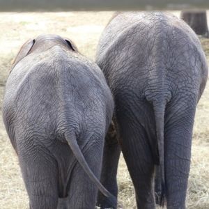 Meet your Posher, Haley